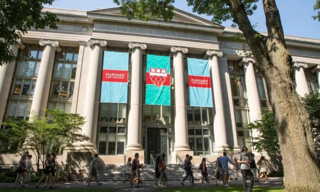 미국 로스쿨 순위 및 합격자 평균 LSAT 점수