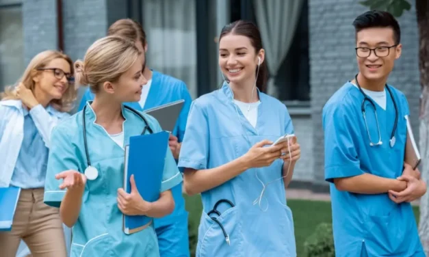 미국 간호학과 학부 순위