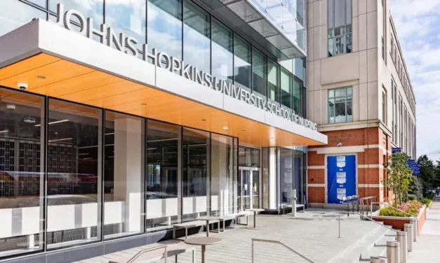 미국 간호대학원 석사과정 순위