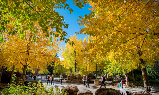 와이오밍 대학교 University of Wyoming 학교 소개 및 신입학 가이드