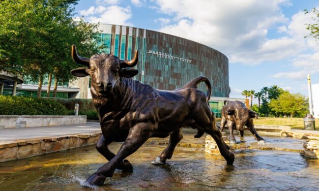 사우스 플로리다 대학교 University of South Florida 학교 소개 및 신입학 가이드