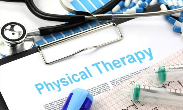 미국 물리치료학과 순위 Physical Therapy