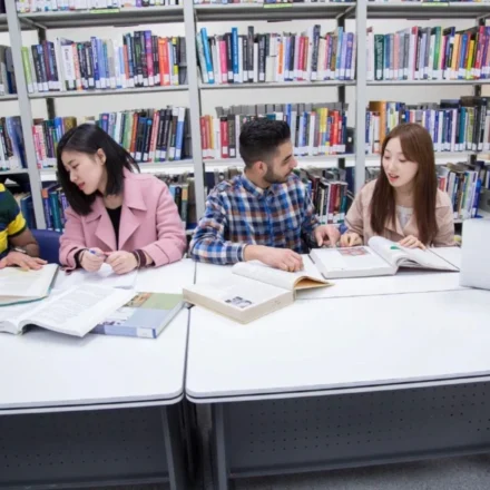 캐나다 컬리지의 학부편입과정