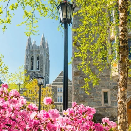 보스턴 칼리지 편입