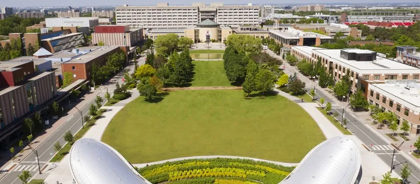 요크 대학교