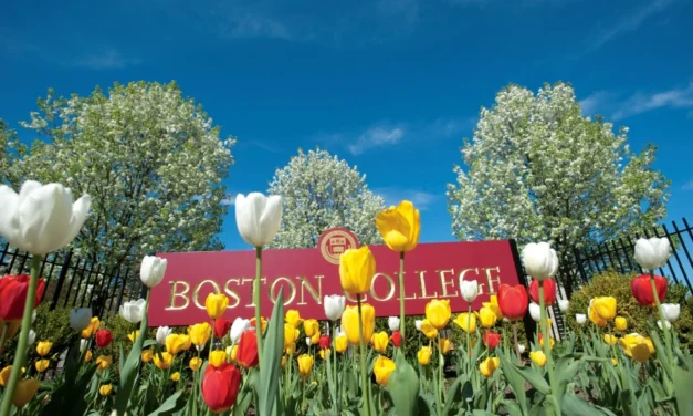 보스턴 칼리지 Boston College 학교 소개 및 신입학 가이드
